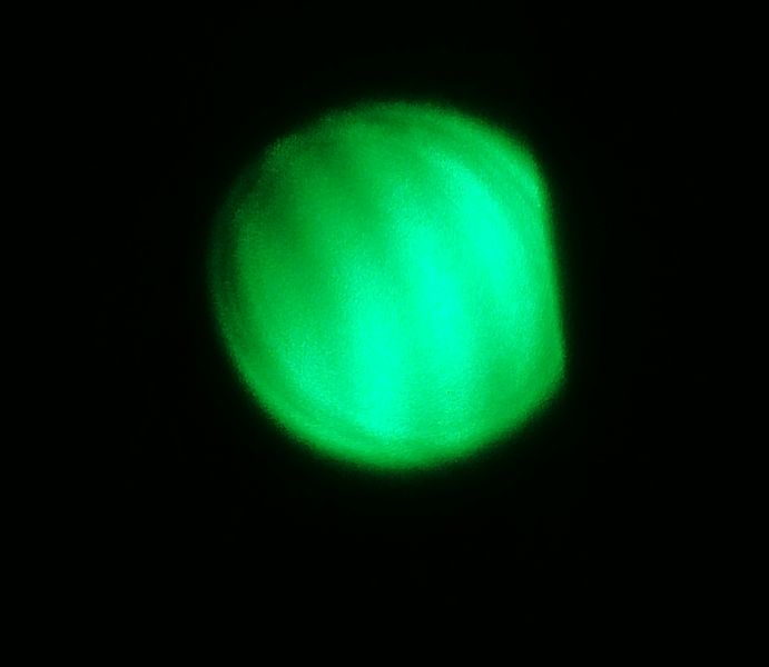 Datei:EXP Quantenphysik Interferenzmuster.jpg