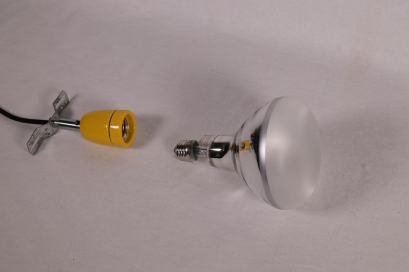 Datei:EXP Quantenphysik Hallwachs-Effekt UV-Lampe.jpg